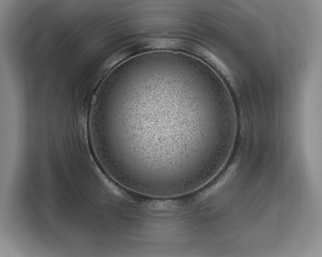 X0000112921041200908311253