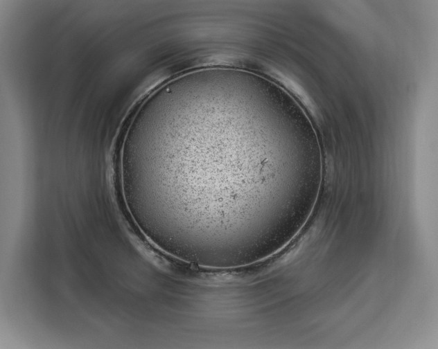 X0000112921042200908311253