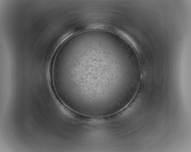 X0000112921050200908311253