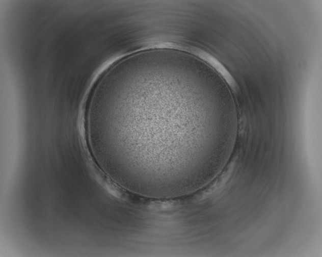 X0000112921051200908311253