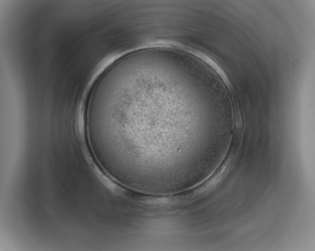 X0000112921054200908311253