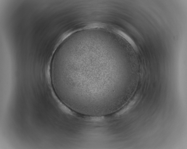 X0000112921055200908311253