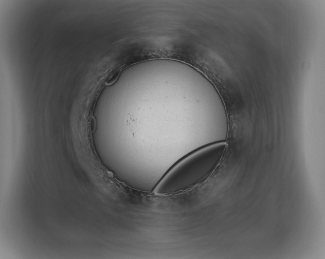 X0000112921057200908311253