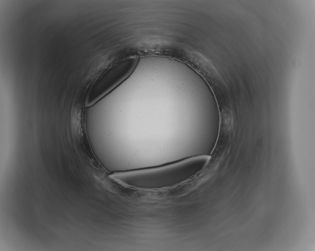X0000112921060200908311253