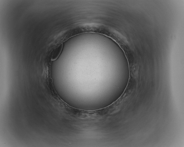 X0000112921061200908311253