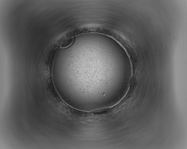X0000112921062200908311253