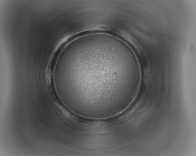X0000112921067200908311252