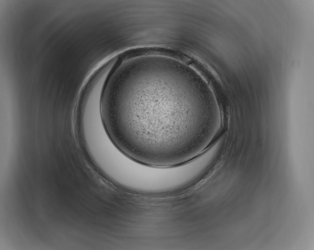X0000112921069200908311252