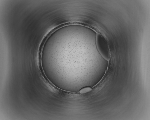 X0000112921076200908311252