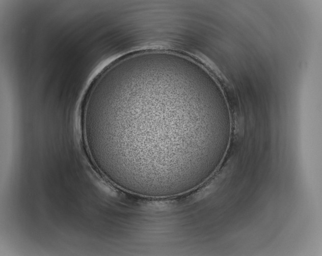 X0000112921078200908311252