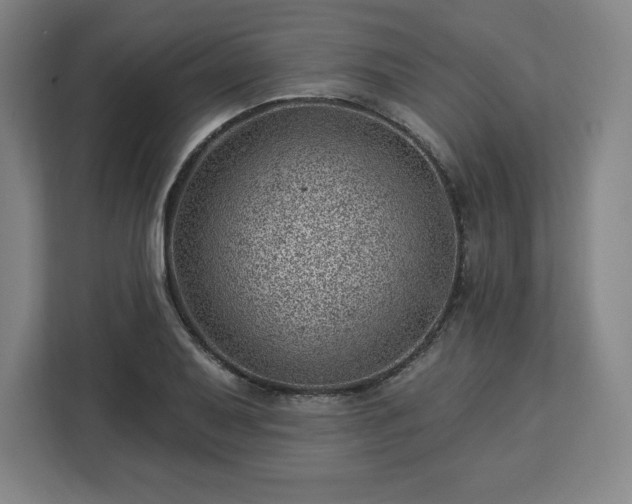 X0000112921079200908311252