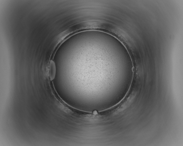 X0000112921081200908311252