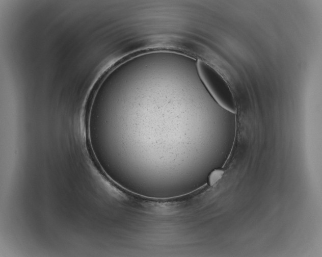 X0000112921084200908311252