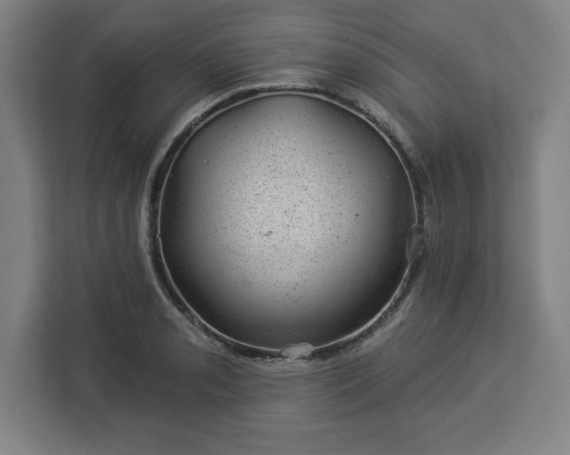 X0000112921085200908311252
