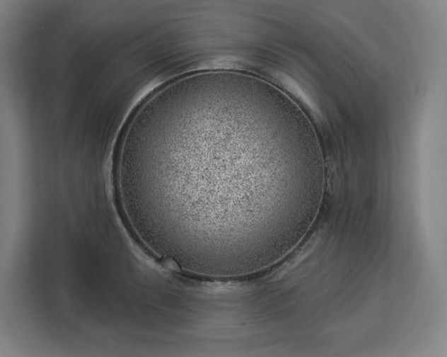 X0000112921087200908311252