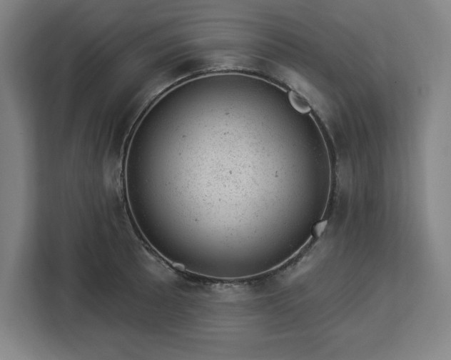 X0000112921089200908311252