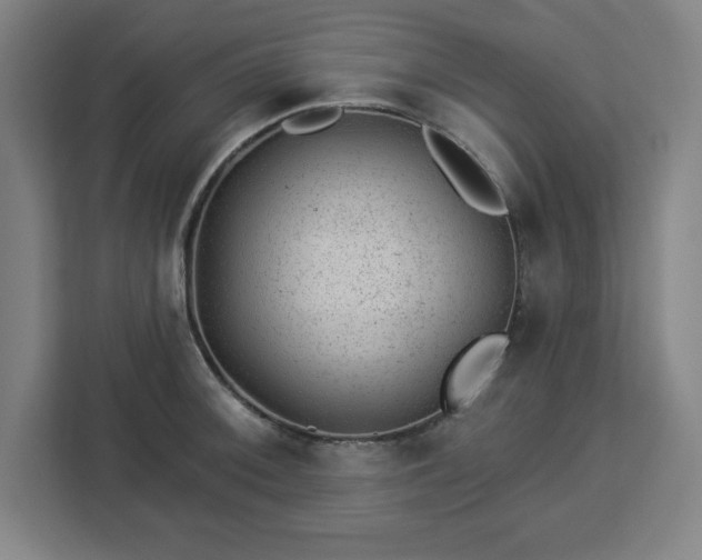 X0000112921092200908311252