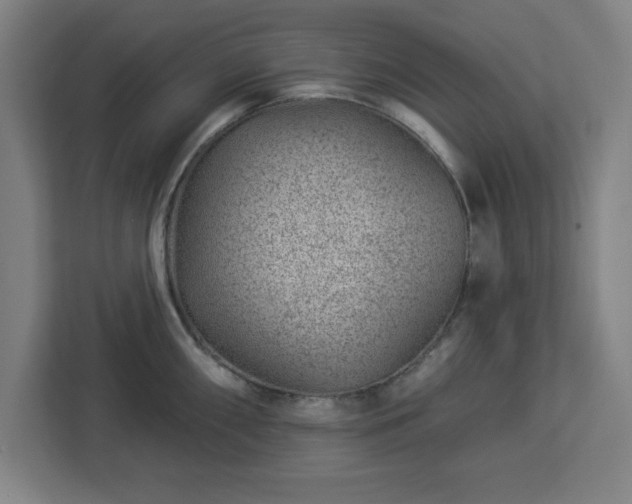 X0000112921098200908311252