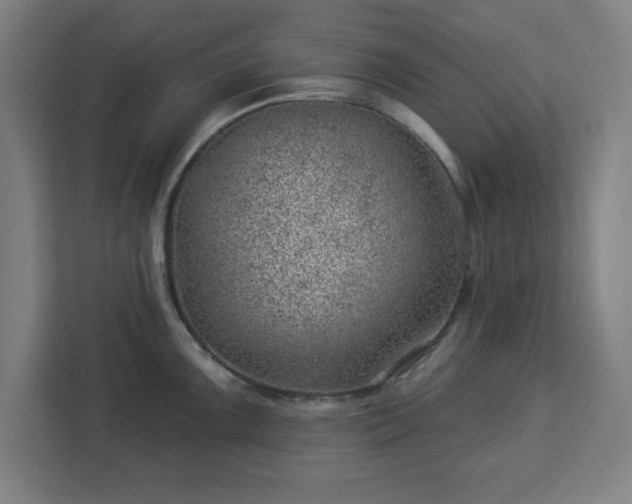 X0000112921099200908311252
