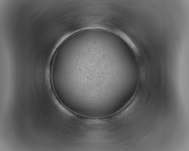 X0000112921100200908311252