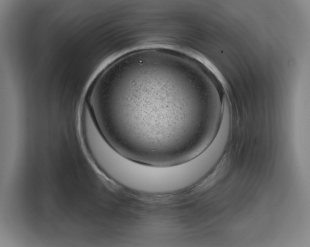 X0000112921101200908311252