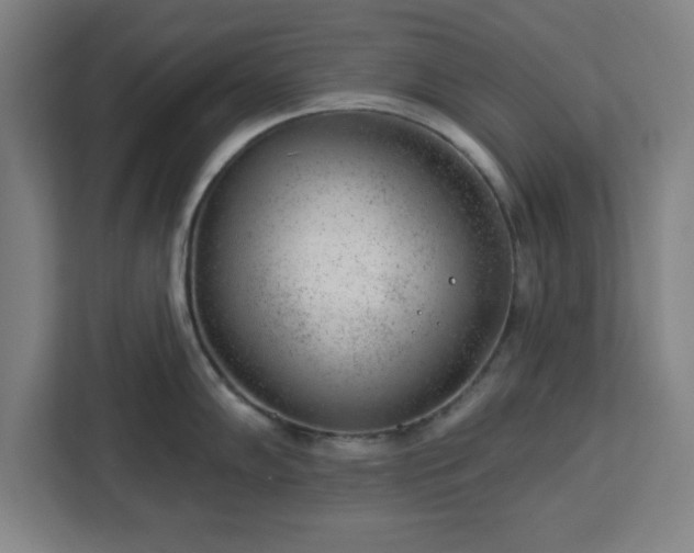 X0000112921102200908311252