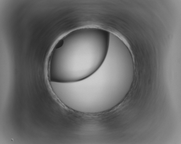 X0000112921104200908311252