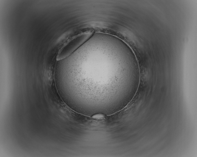 X0000112921110200908311251