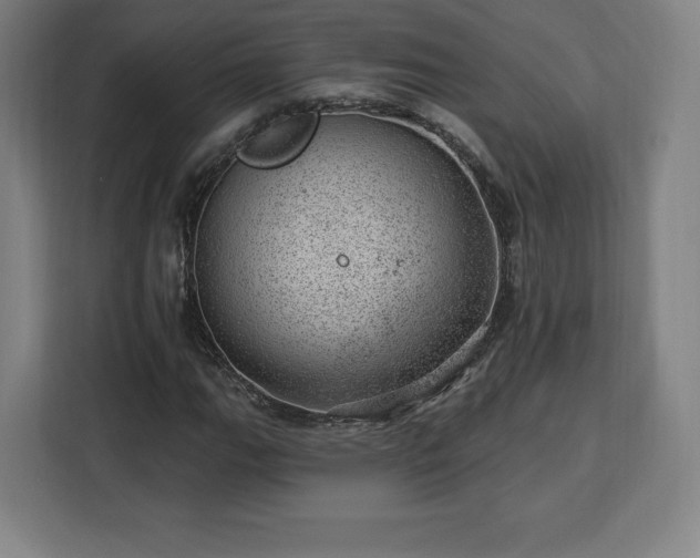 X0000112921111200908311251
