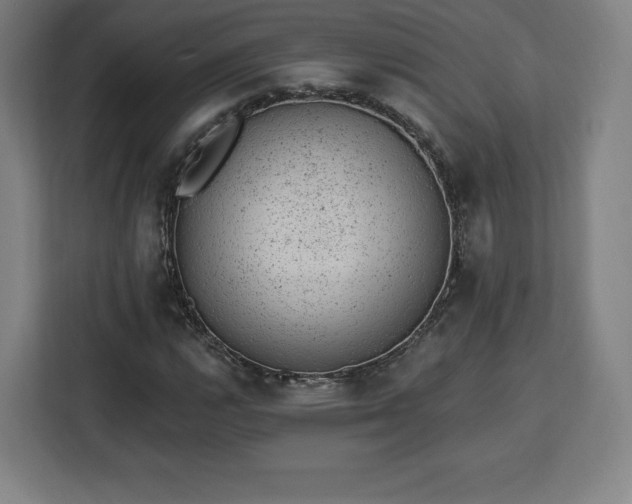 X0000112921112200908311251