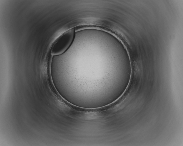 X0000112921114200908311251