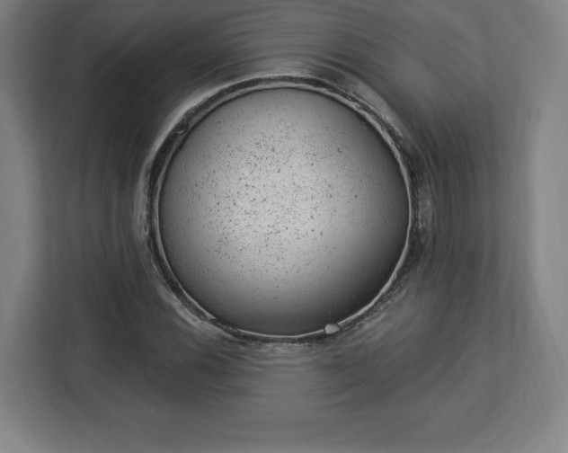 X0000112921116200908311251