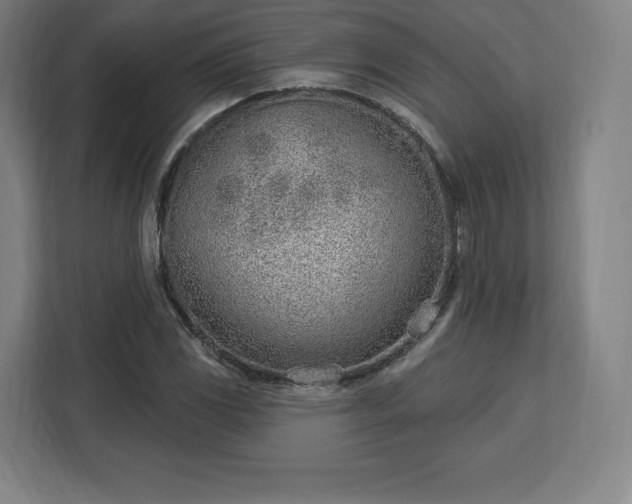 X0000112921117200908311252