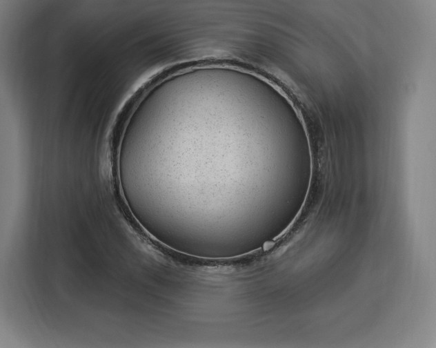 X0000112921118200908311252
