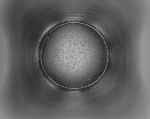 X0000112921119200908311252