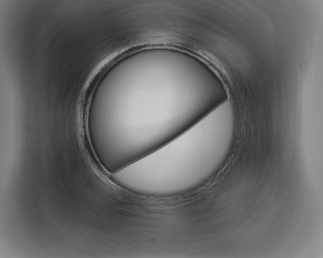 X0000112921120200908311252