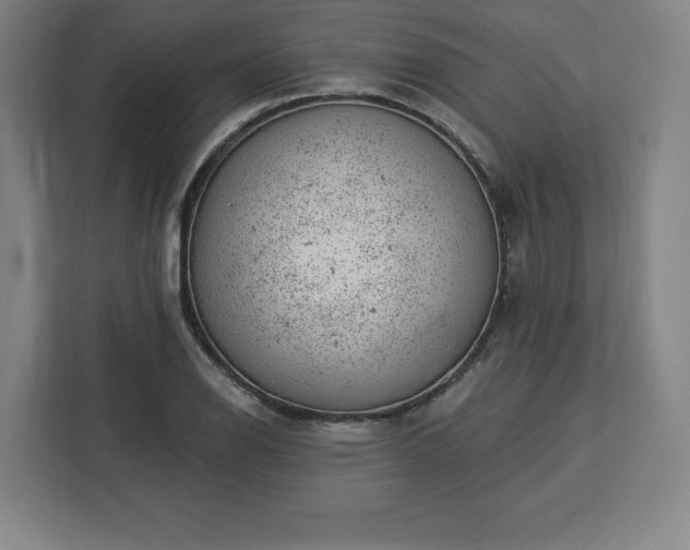 X0000112921126200908311252