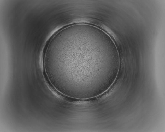 X0000112921127200908311252