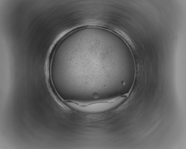 X0000112921128200908311252