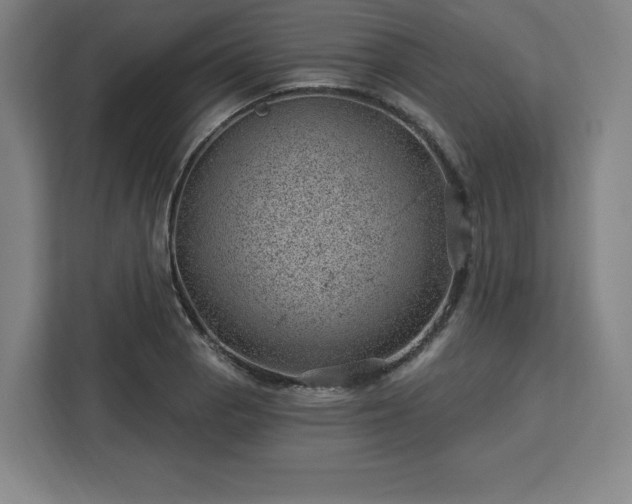 X0000112921129200908311252