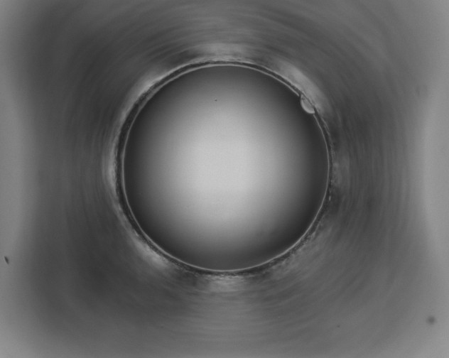 X0000112921136200908311252