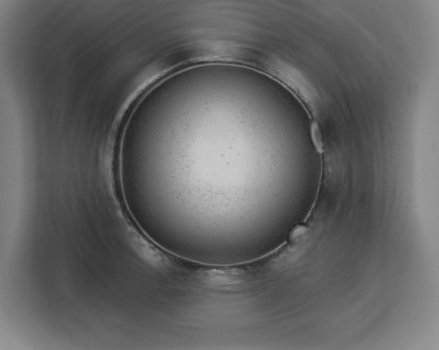 X0000112921138200908311252