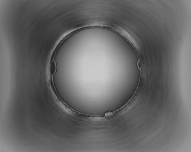 X0000112921140200908311252