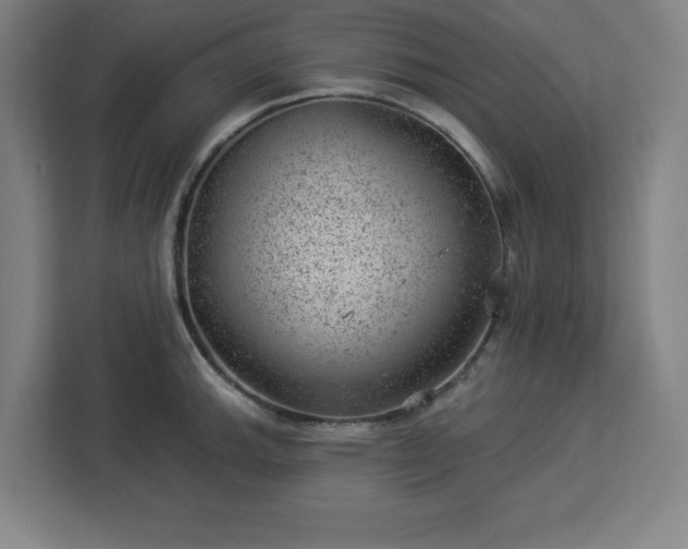 X0000112921143200908311252