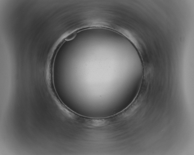 X0000112921144200908311252