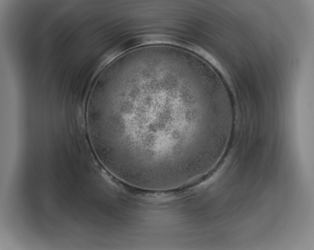 X0000112921145200908311252
