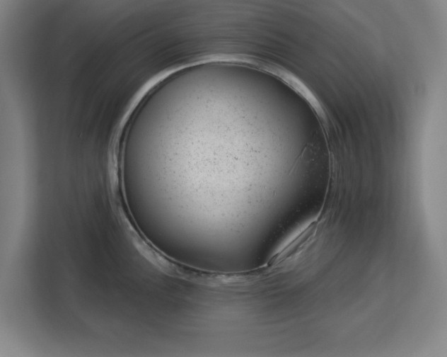 X0000112921148200908311252