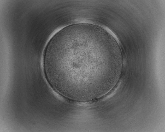 X0000112921149200908311252