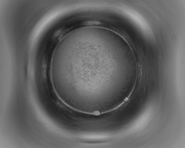 X0000112921151200908311252