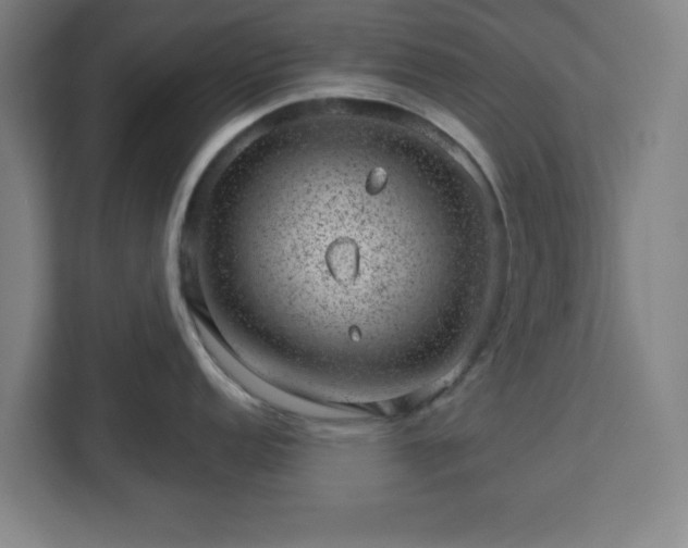 X0000112921152200908311252